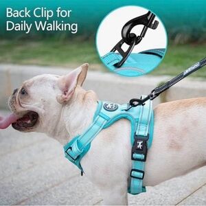 Blue Dog Harness for Daily Walking